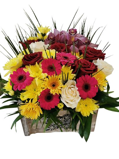 WhatsApp_Image_2022-07-21_at_20.07.42-removebg-preview.png
