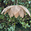 Miniature : Suspension en rotin, forme Lotus 60 cm, modèle FLOWERS