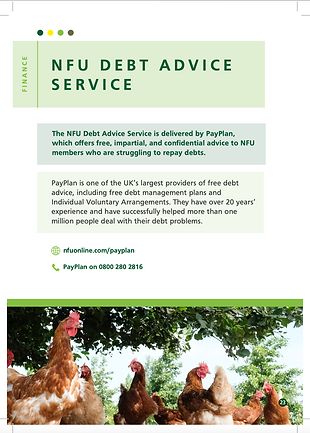 NFU Prof Services-pg23.png