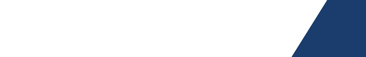 Allyship Archi (4).png