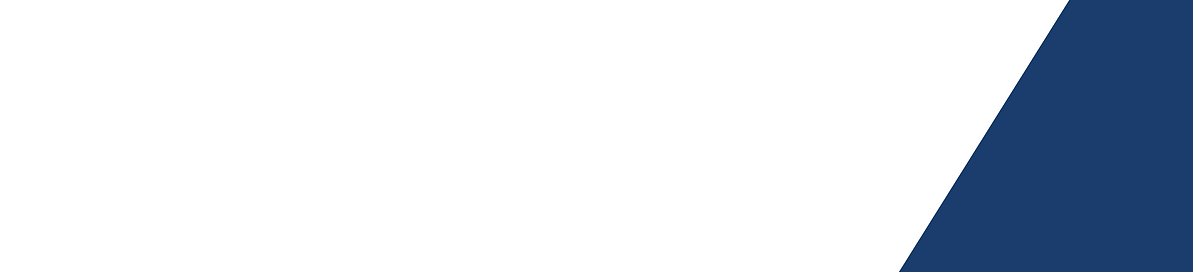 Allyship Archi (4).png
