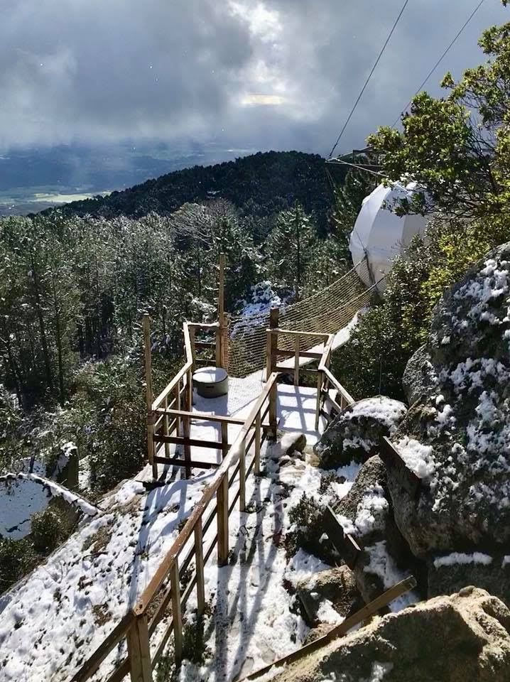 Miniature : COCOONS - MINIMAL COLLECTION 00001686