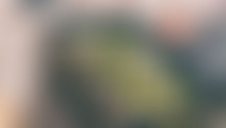 EVOLUTION OF BEER BOX FIRE PIT BARBECUE