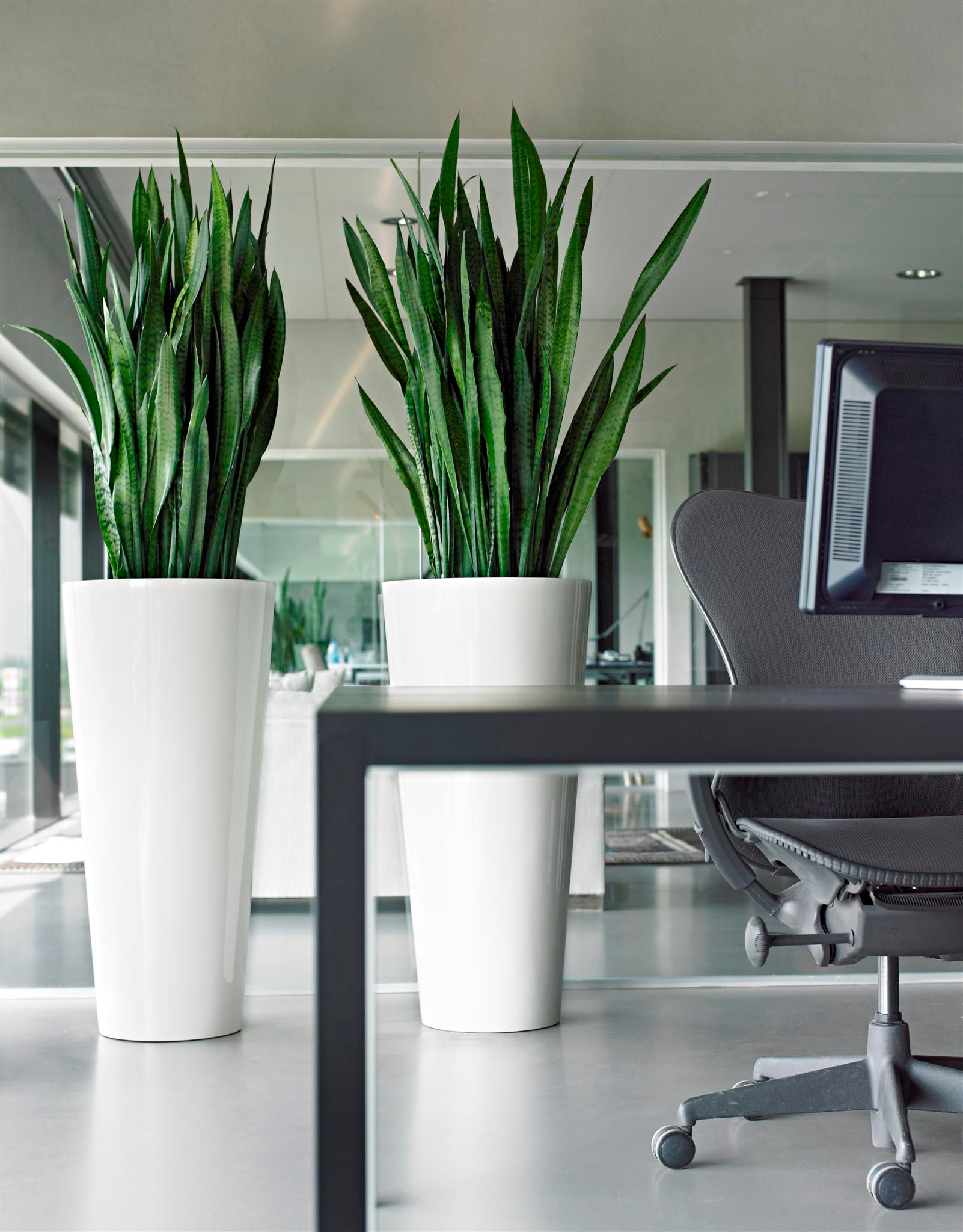 JARU POT MINIMAL COLLECTION 00001587672334