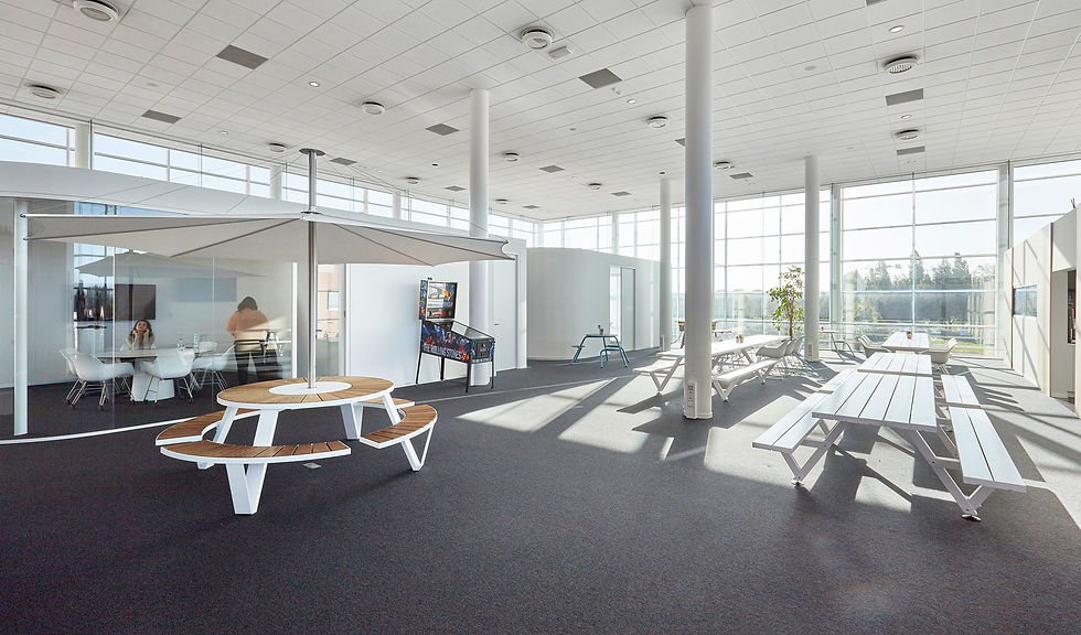 Thumbnail: PANTAGRUEL PICNIC WHITE - MINIMAL COLLECTION 0000117837