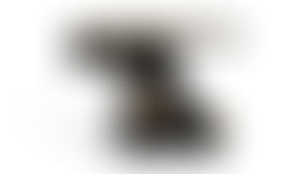 PORTUGUESE PERFECTION