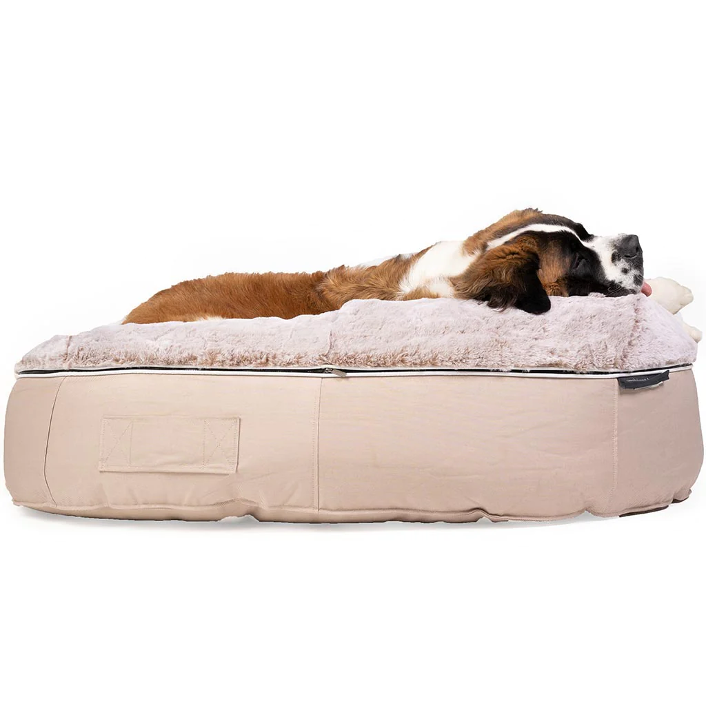 Thumbnail: (XXL) Premium Indoor/Outdoor Dog Bed (Cappuccino) MINIMAL COLLECTION 00070