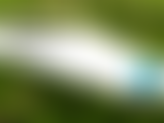 Vi er nå Miljøfyrtårn-sertifisert