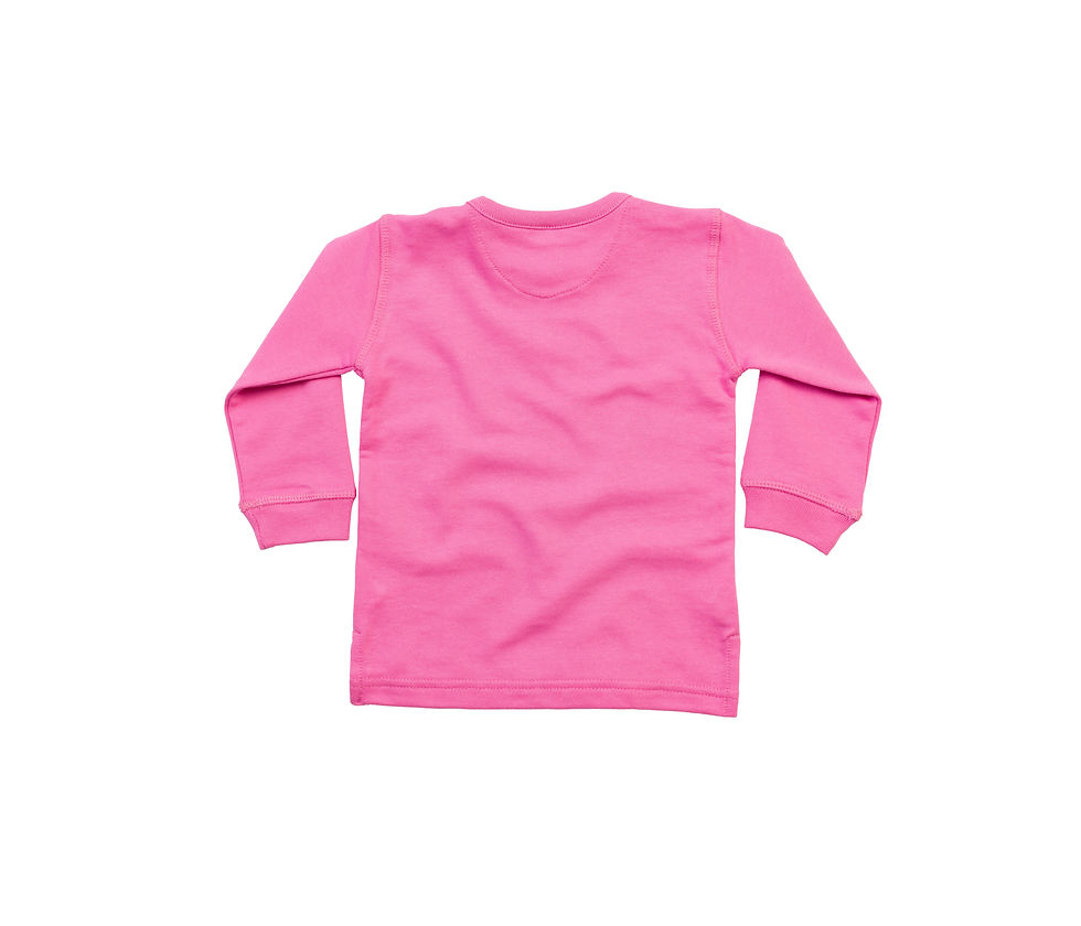 Miniature : Sweat-shirt col rond, bébé