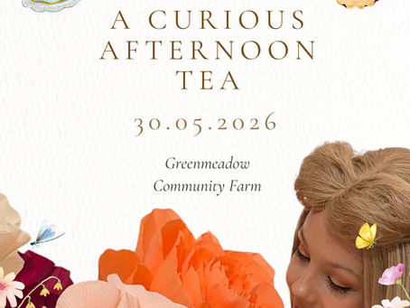 Curiouser and curiouser...