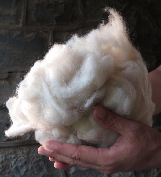 Pashmina_Cashmere_Fiber.jpeg