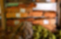 GI Kashmiri Carpet Code Taleem.jpg