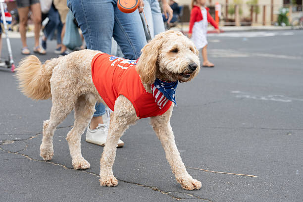 istockphoto-2223739425-612x612