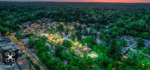 Blossom Layout_edited.jpg