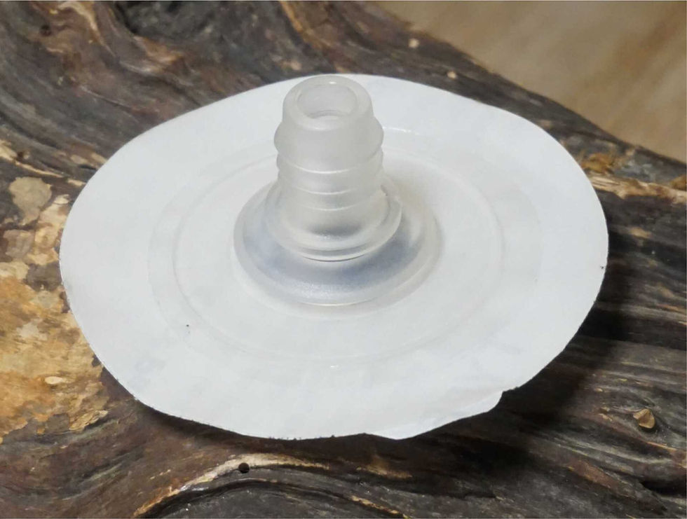 V2 Ozone kites straight one pump valve