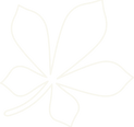 neconlisc.png