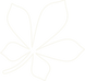 neconlisc.png