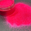 Thumbnail: Cheshire || Fluorescent Pink Extra Fine Glitter ||