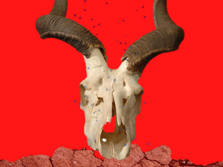 Cuernos de chivo