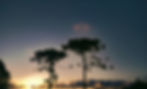 01_edited