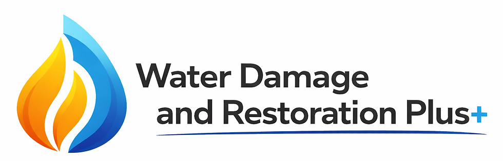 Water Damage Plus+ Logo V2.png