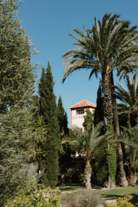 Boda en Finca San Ramón de Elche