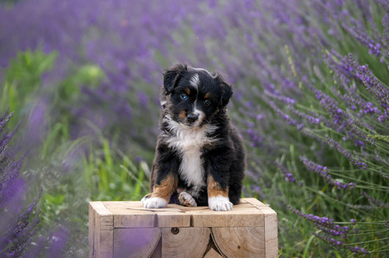 P1260415-Unna cube copie.jpg