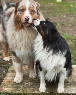 4BEEA44F-4BDF-4A55-A0B2-ADEBB000A85F