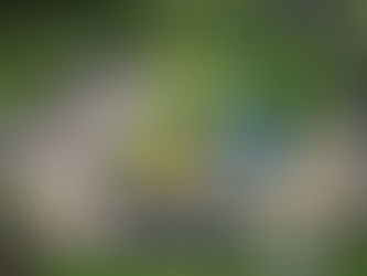 Waarom visuele content essentieel is voor jouw marketingstrategie