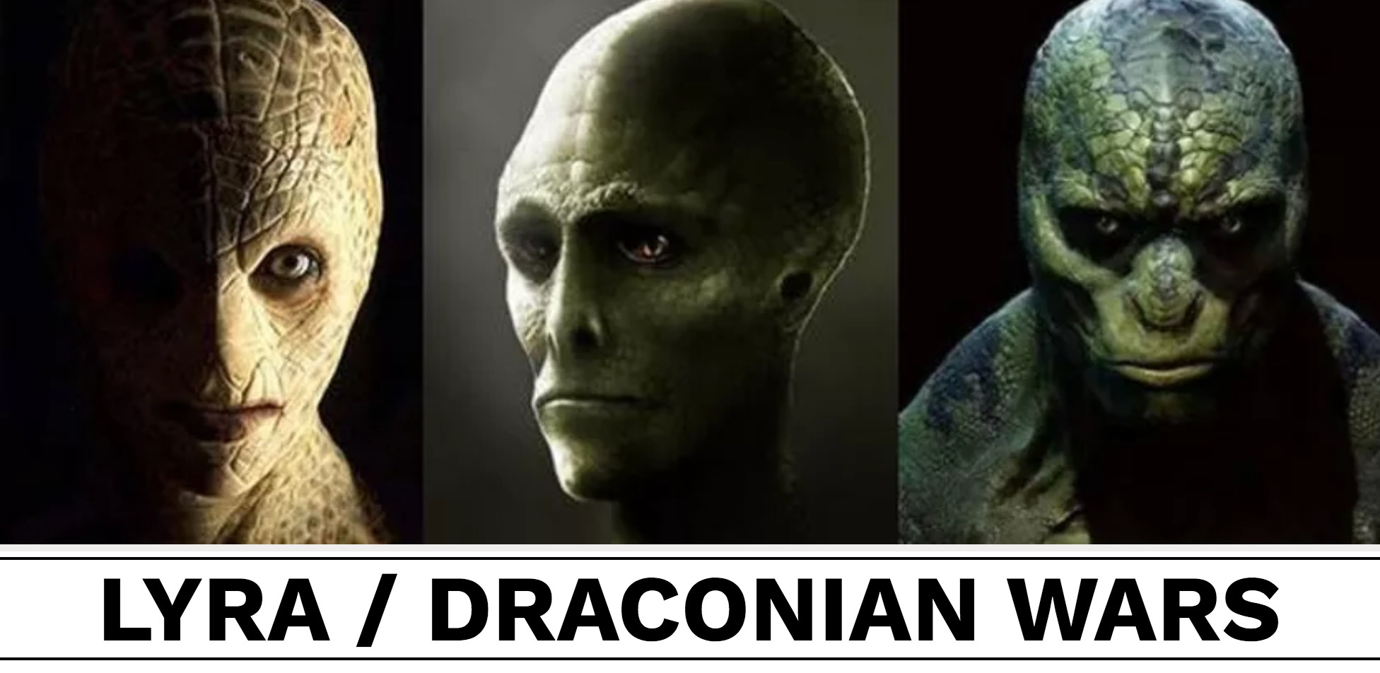 draconian races draconian races