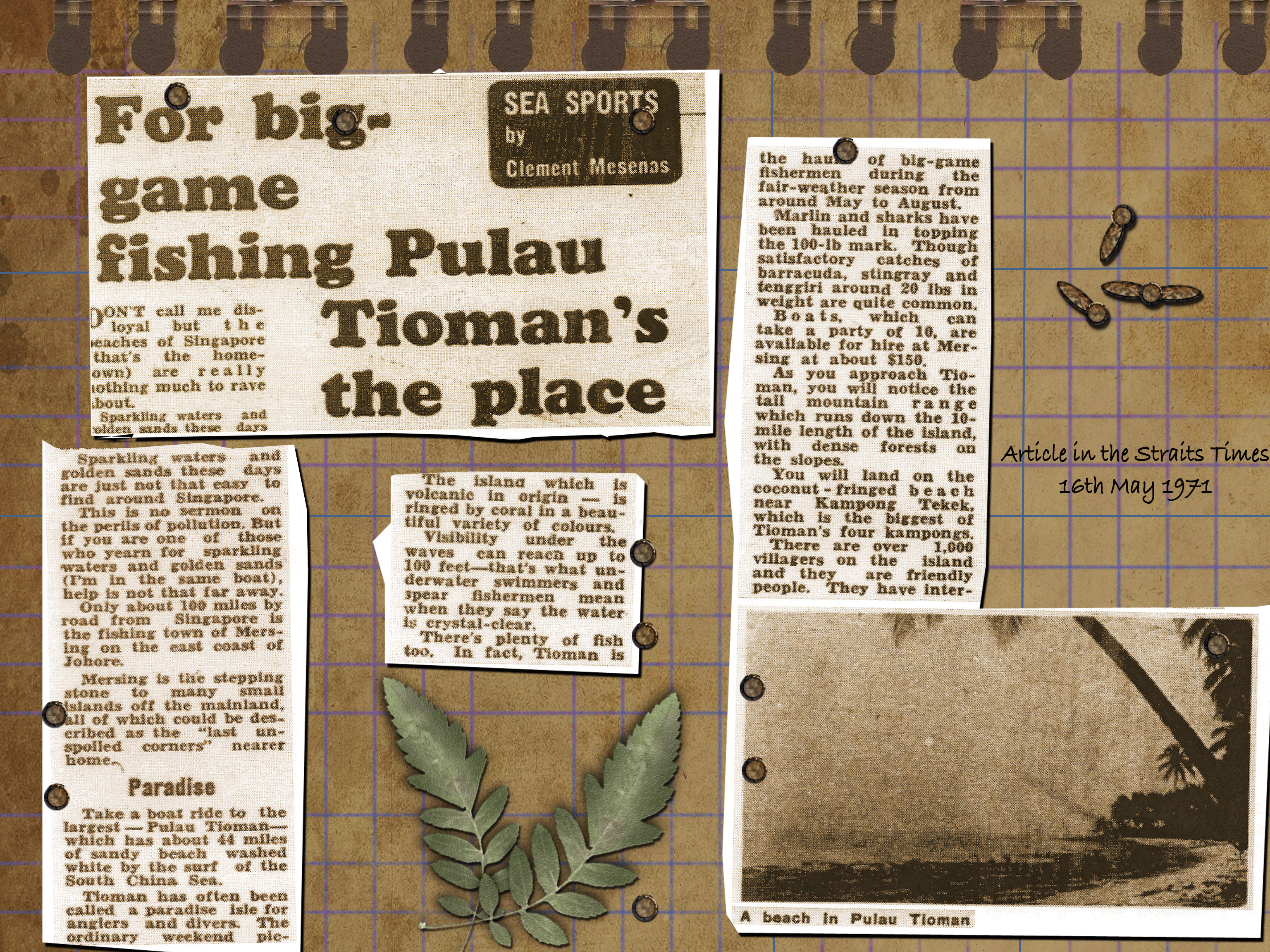 Pulau-Tioman-Blog.gif