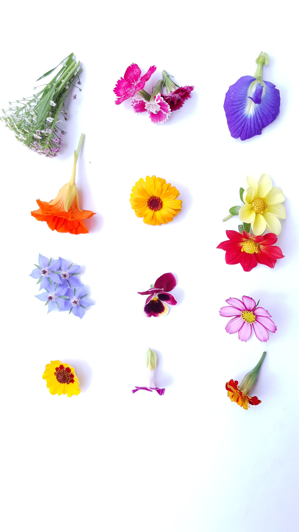 Miniatura: FLORES COMESTÍVEIS - MIX DA ESTAÇÃO