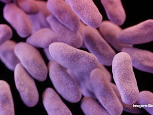 Hospital em Campinas restringe atendimento para conter superbactéria