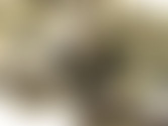 Brasil busca parceria com Europa para exploração de minerais críticos