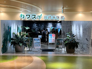 ホンダカーズ川崎スタッフが行く！都市の癒しスポット「カワスイ」体験レポート！