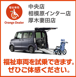 福祉車両.png