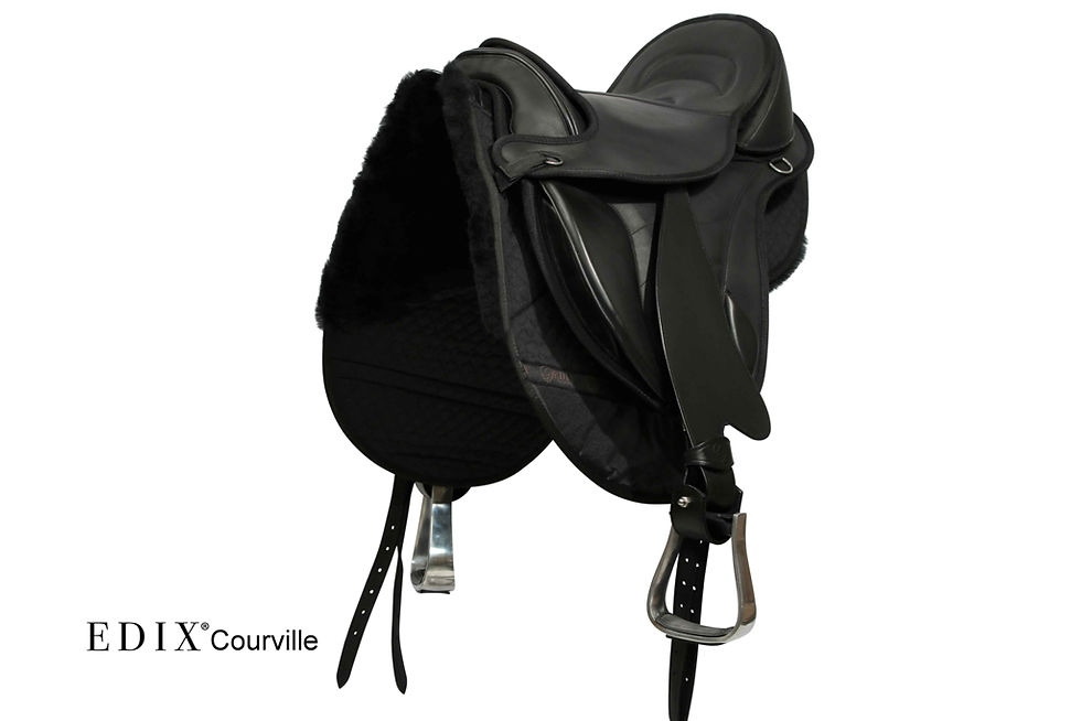 EDIX Courville Saddle