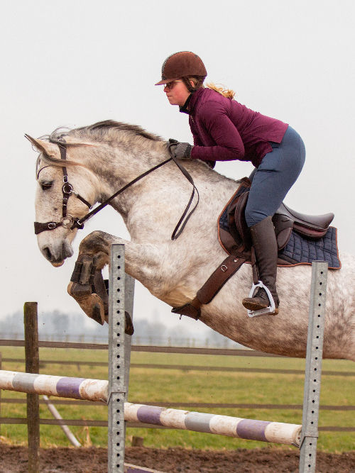 Thumbnail: Edix Halo and Halo Pro Shanks