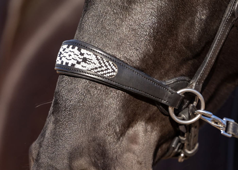 Thumbnail: Edix ED2 Brightstar Sidepull with reins