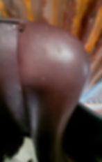 Thumbnail: Used Edix Emir AP Saddle 17"