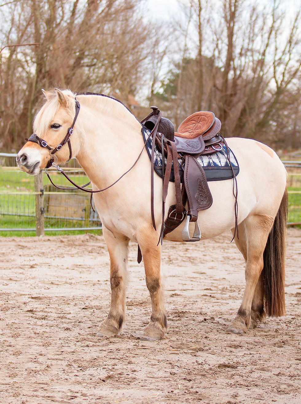 Thumbnail: Edix Western Felt Saddle Pad