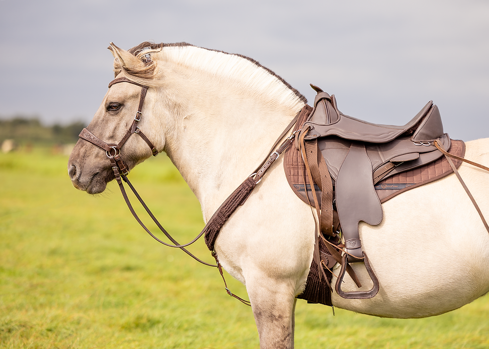 Thumbnail: Edix Roper Western Cinch