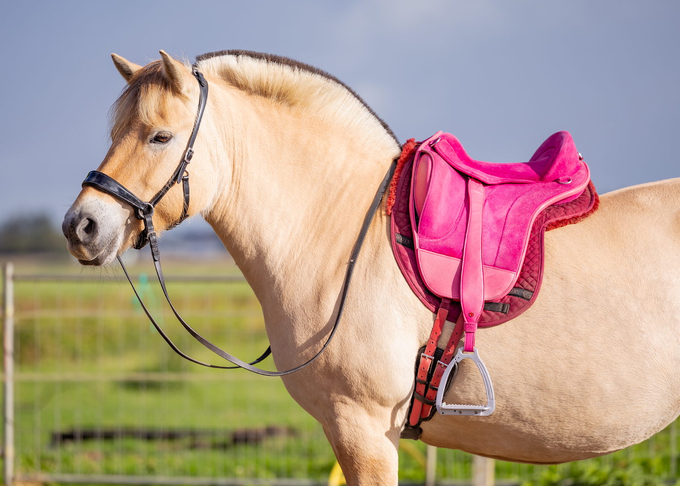 Edix Wide Mono Soft Stirrup Leathers