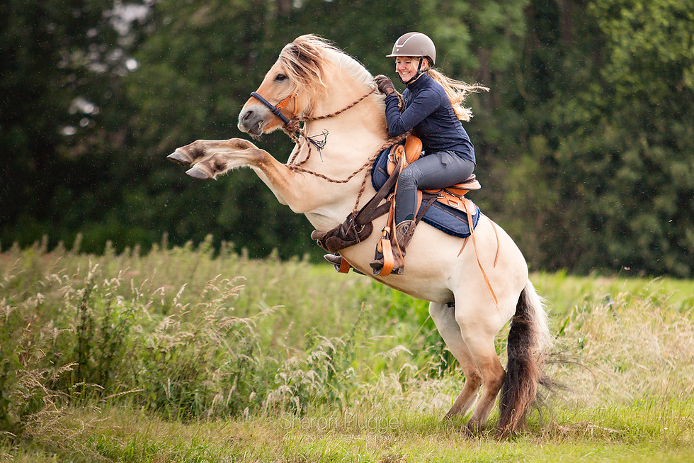 Thumbnail: EDIX Santos Western Saddle