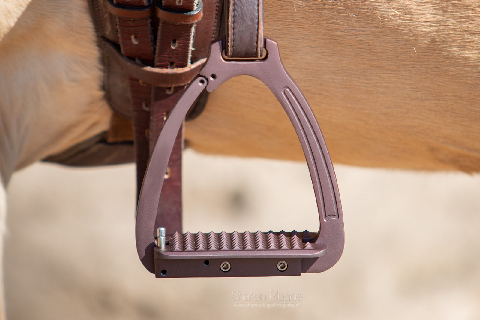 Flair Safety Stirrups