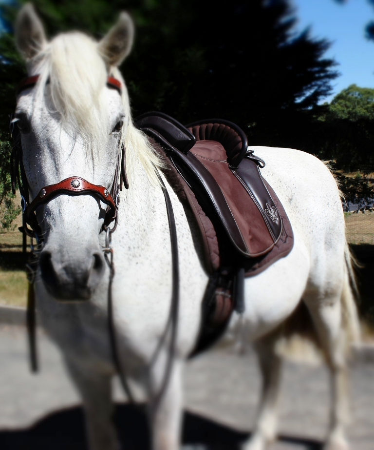 Thumbnail: Ibero Verano Saddle