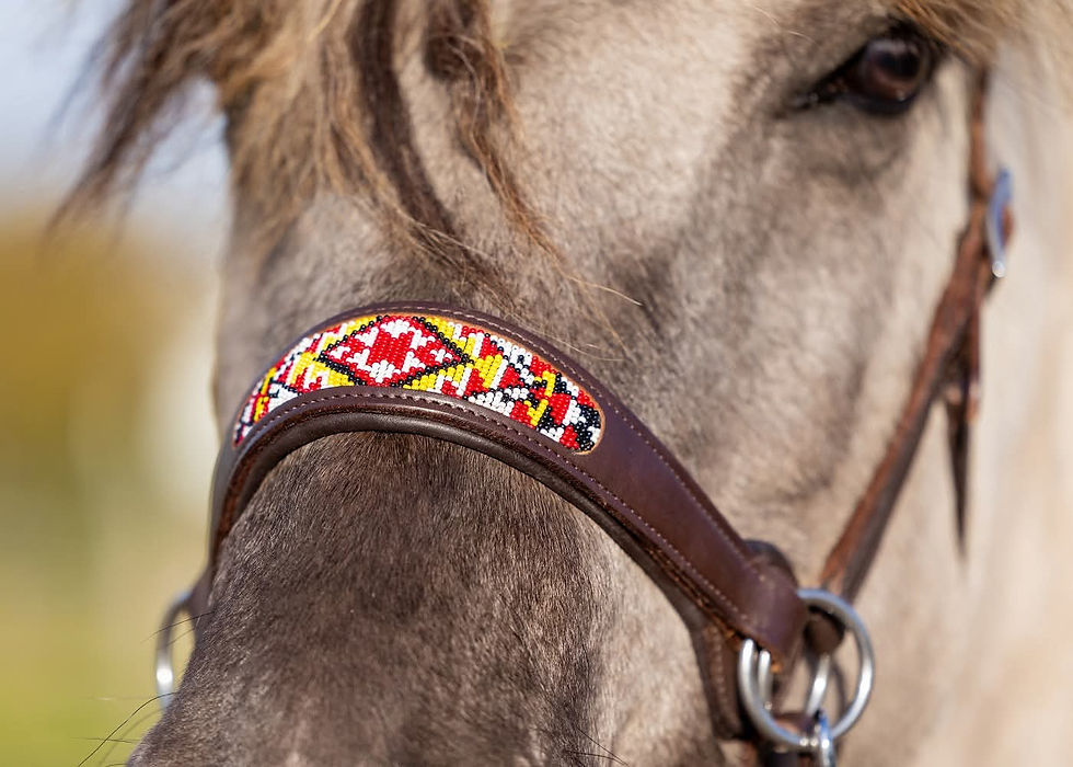 Edix ED2 Brightstar Sidepull with reins