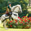 Thumbnail: Buckeburger Saddle