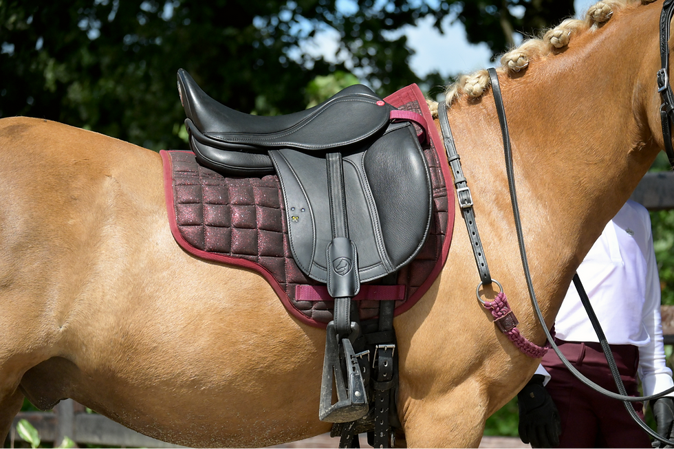 Thumbnail: EDIX Tudor Kids Dressage Saddle