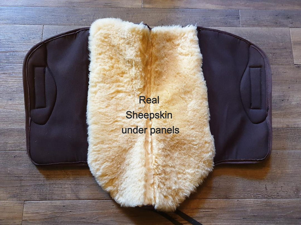 Thumbnail: Buttera and Buttera Maxxi Saddle Pad